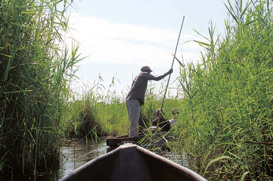 Okavango Delta: Mokoro Day Tour - Key points to know