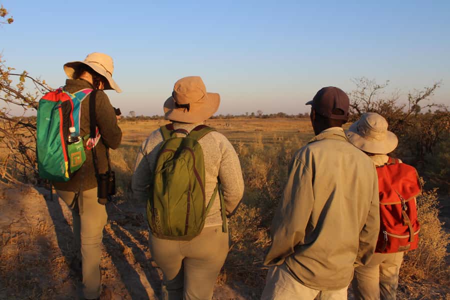 Okavango Delta: Mokoro Day Tour - What the $275 price includes