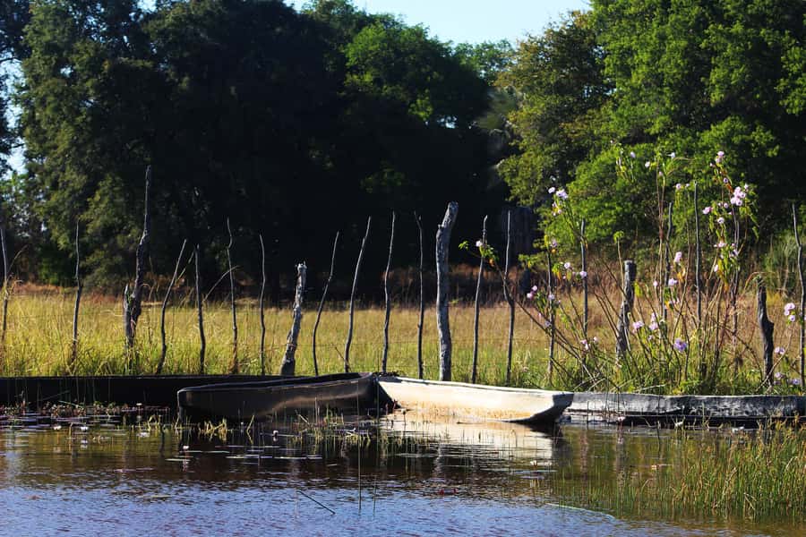 Okavango Delta: Mokoro Day Tour - From Maun to Audi Camp and the Boro Channel