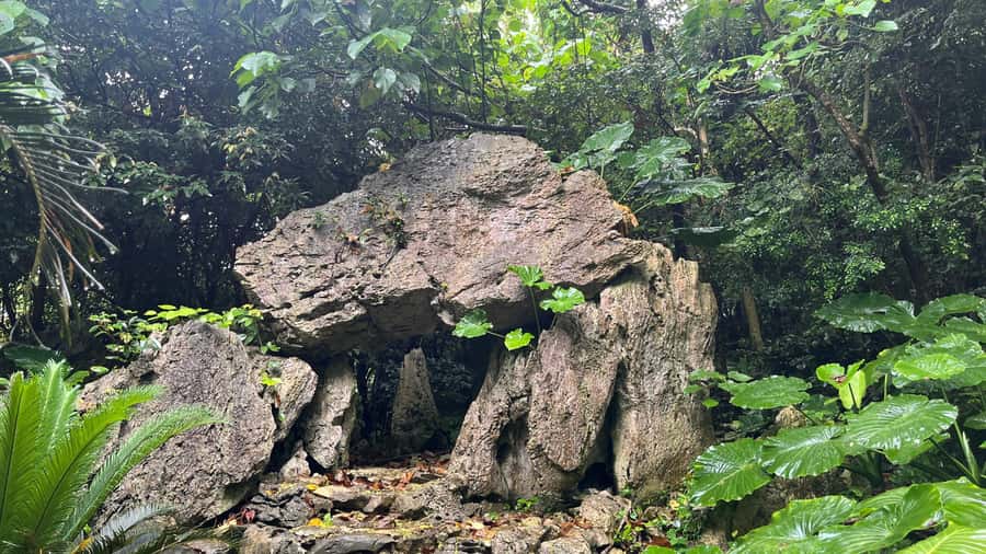Okinawa: Full-Day Bus Tour to Yanbaru National Park - Yanbaru Forest Visitor Center and the Okinawa rail