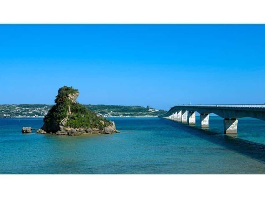Okinawa: Full-Day Bus Tour to Yanbaru National Park - Lunch at Kunigami Minato Shokudo