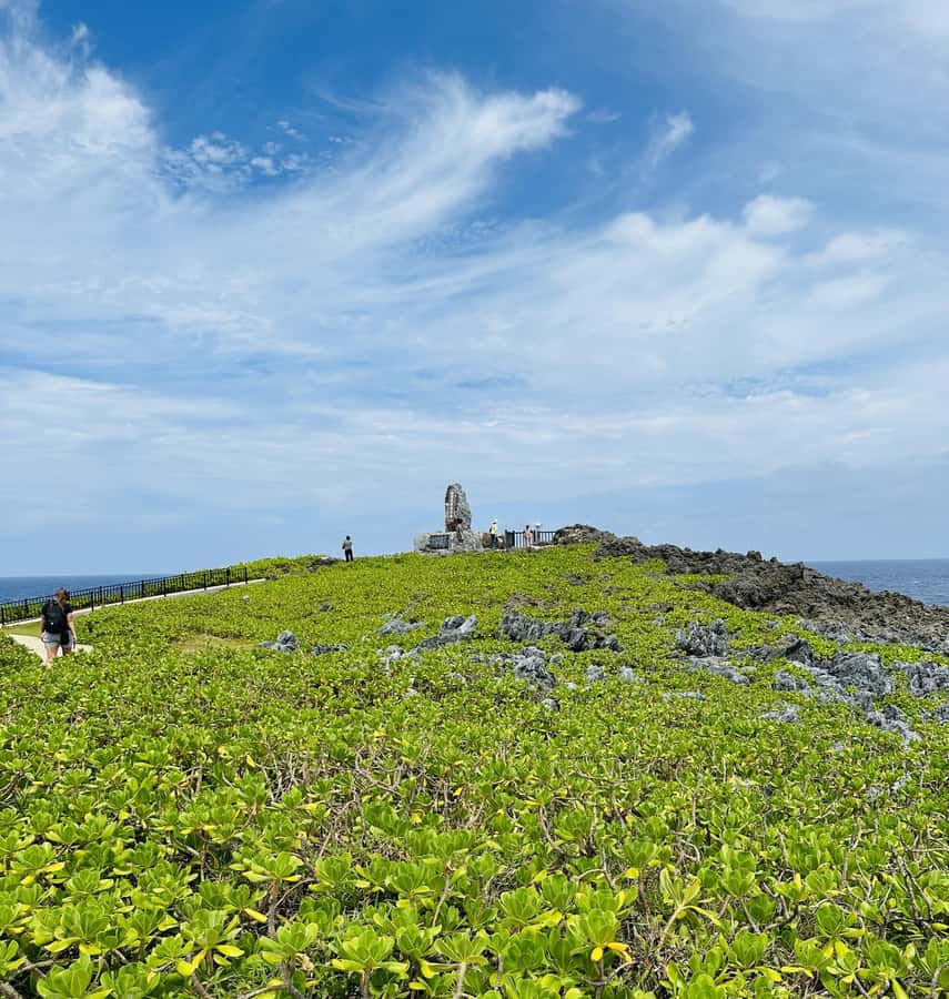 Okinawa: Full-Day Bus Tour to Yanbaru National Park - Who will enjoy this tour most