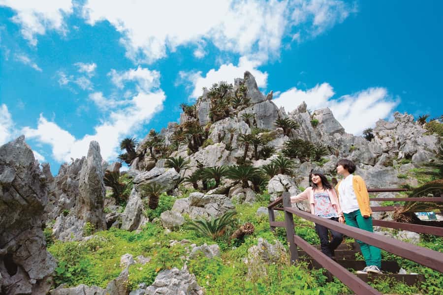 Okinawa: Full-Day Bus Tour to Yanbaru National Park - The long ride north from Naha