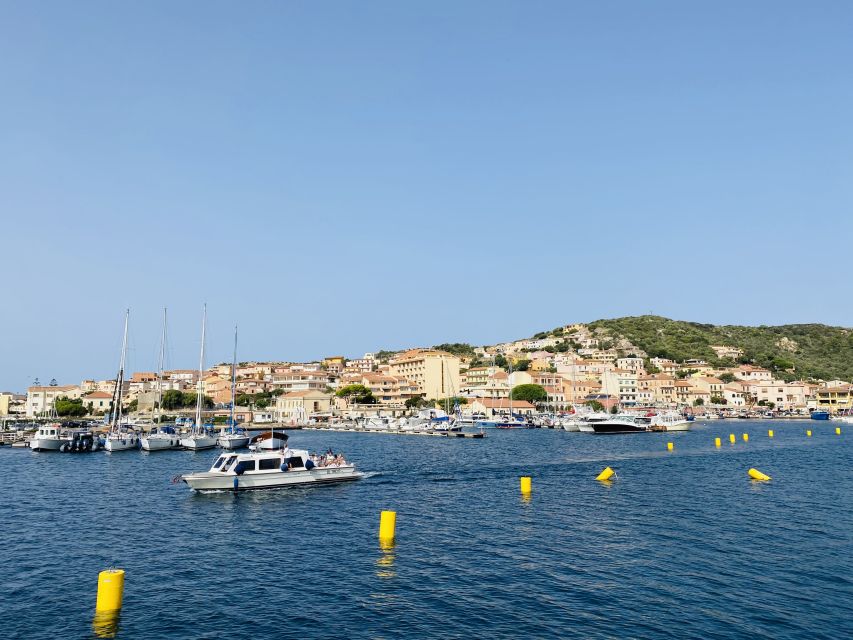 Olbia: Maddalena Archipelago Boat Tour with Minibus Transfer - Is the $142.74 price fair?