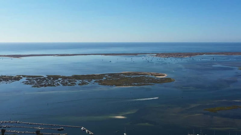 Olhão: Ria Formosa National Park and Islands Boat Cruise - Armona Island or Desert Beach in summer