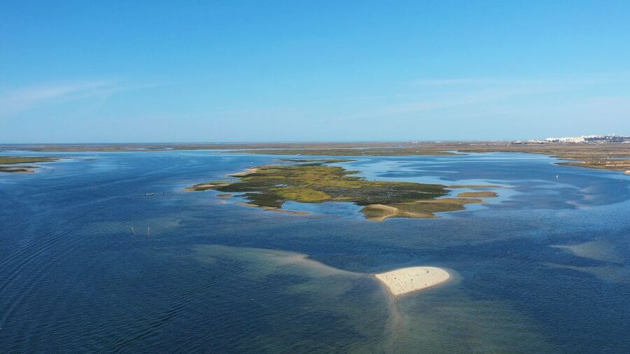 Olhão: Ria Formosa National Park and Islands Boat Cruise - Returning through the park to Olhão