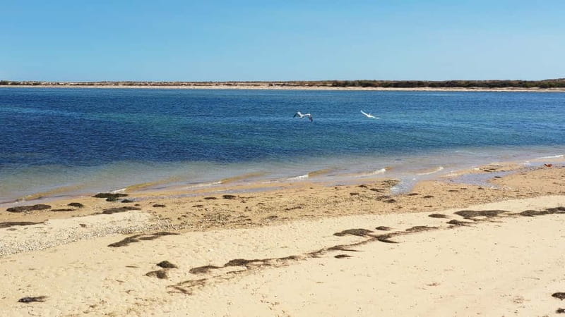 Olhão: Ria Formosa National Park and Islands Boat Cruise - Who will enjoy this cruise most