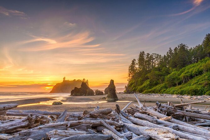 Olympic National Park Small Group Day Tour w/Scenic Ferry 2CanGo - Key points to know before booking
