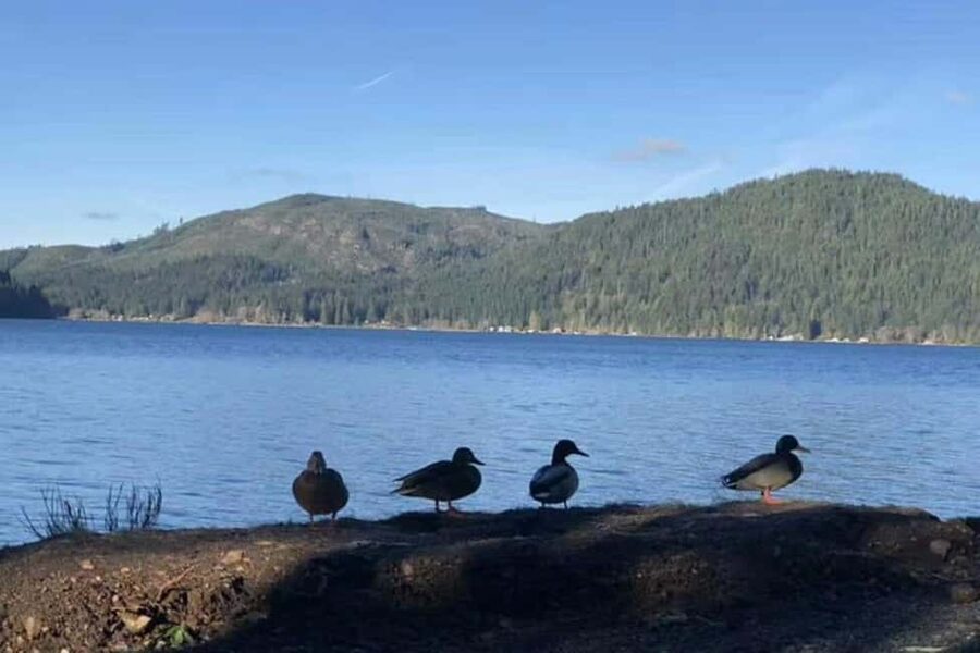 Olympic National Park Small Group Day Tour w/ State Ferries - Key points at a glance