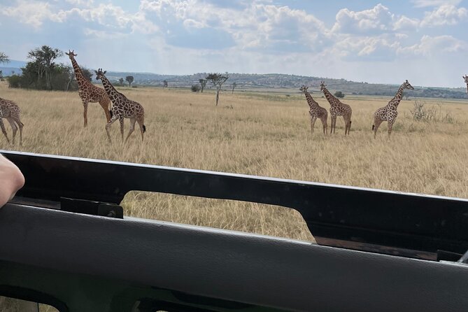One Day Akagera Wildlife Safari - Why Akagera makes a strong day trip from Kigali