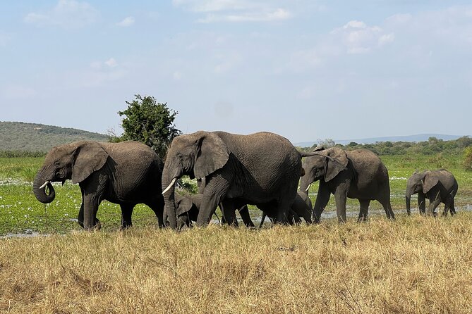 One Day Akagera Wildlife Safari - Adding the Lake Ihema boat safari