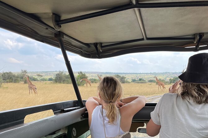 One Day Akagera Wildlife Safari - What the $200 price really covers