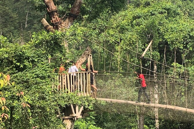 One Day Tour To Cape Coast, Elmina Castle, Kakum National Park - What The Private Guide Adds To The Day