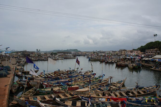 One Day Tour To Cape Coast, Elmina Castle, Kakum National Park - Who Will Like This Tour Most