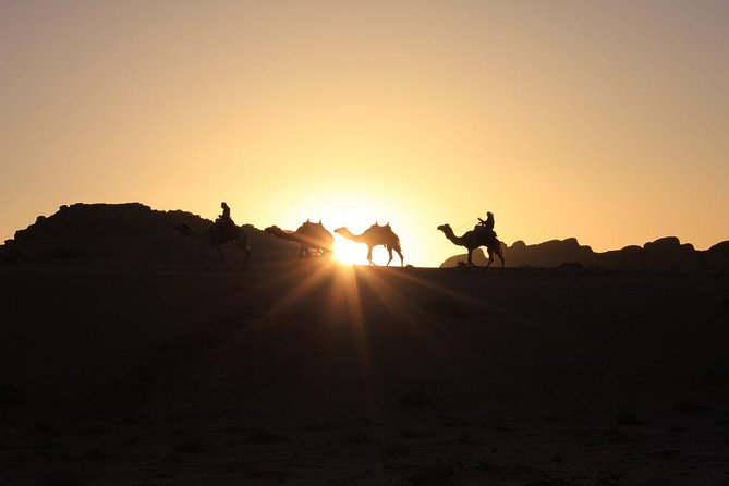 One Day Tour Wadi Rum - Natural arches, cliffs, gorges, and caverns