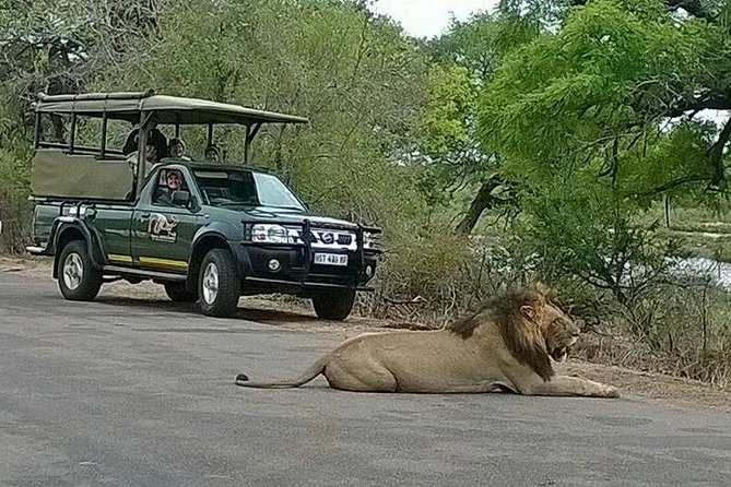 Open Vehical Safari in Kruger National Park Half Day - Starting from Marloth Park and reaching Kruger
