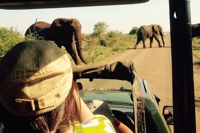 Open Vehical Safari in Kruger National Park Half Day - What an open vehicle changes