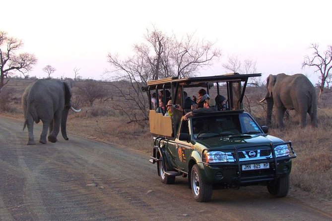 Open Vehical Safari in Kruger National Park Half Day - Who will get the most from this safari