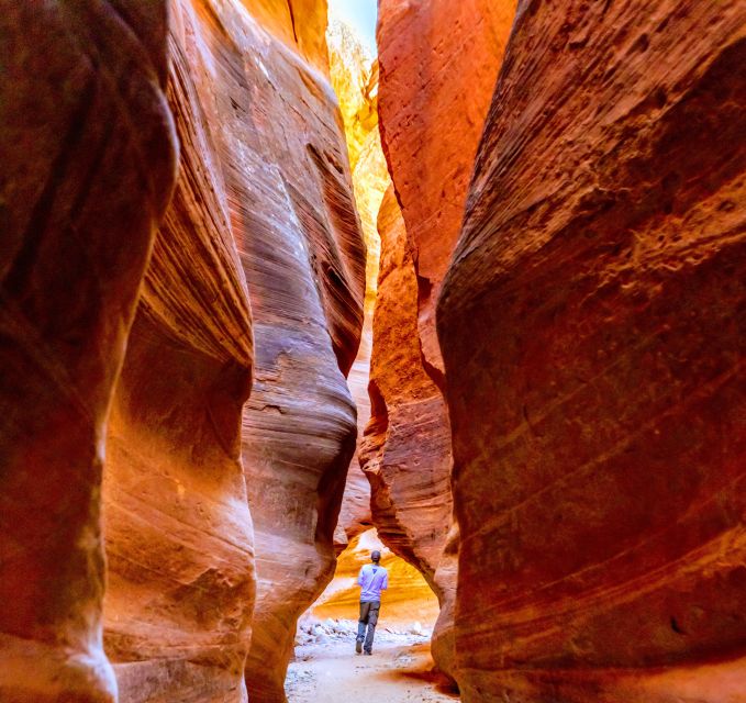 Orderville: East Zion Park White Mountain Horseback Tour - Key points to know before you book