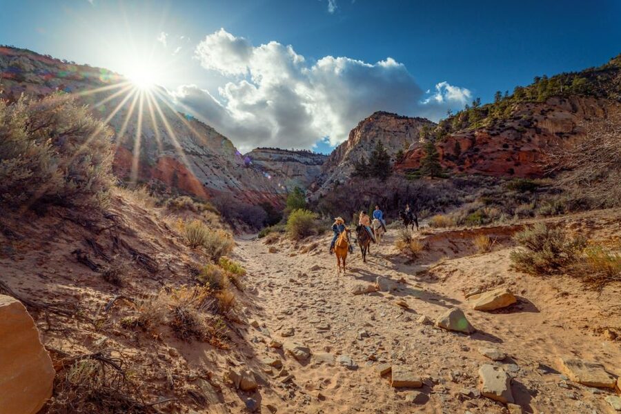 Orderville: East Zion Park White Mountain Horseback Tour - A short ride with a very good payoff