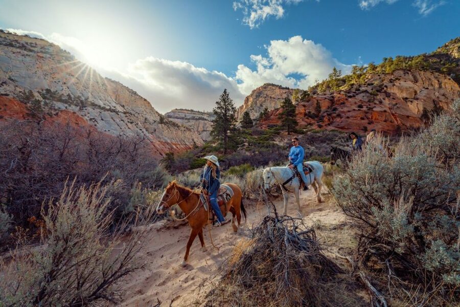 Orderville: East Zion Park White Mountain Horseback Tour - The slot canyon stop is the highlight