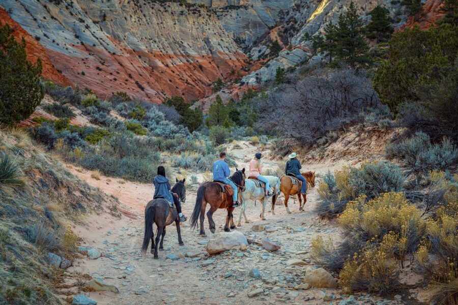 Orderville: East Zion Park White Mountain Horseback Tour - Weather, clothing, and small practical details