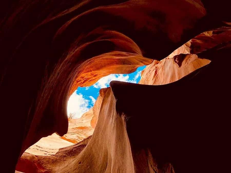 Orderville: East Zion Slot Canyons Award-Winning UTV Tour - Key points before you book