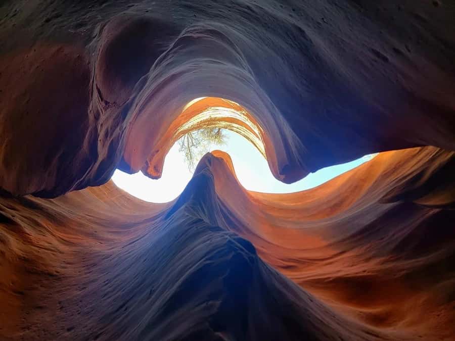 Orderville: East Zion Slot Canyons Award-Winning UTV Tour - Starting beside Highway 89 in Orderville