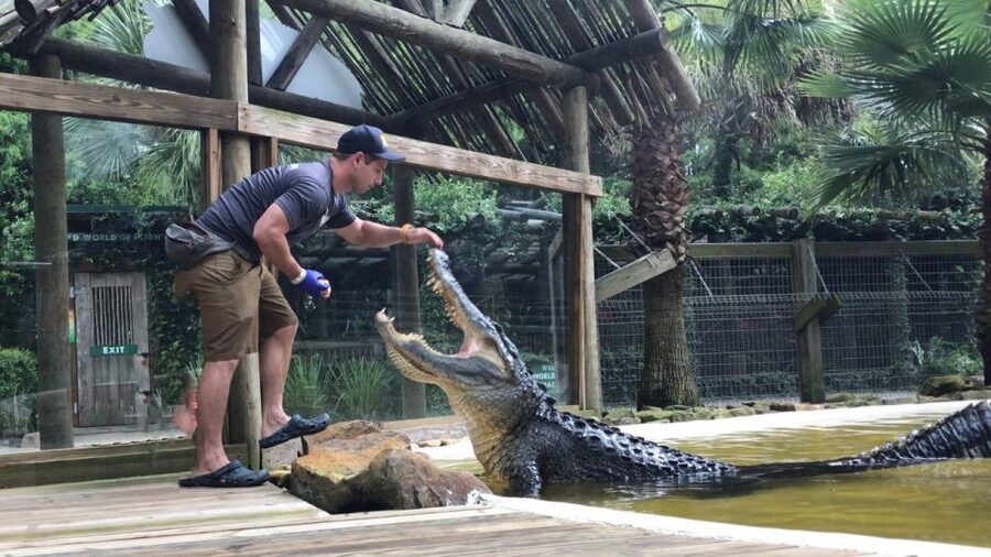 Orlando: Everglades Airboat Ride and Wildlife Park Ticket - Getting there and planning your visit