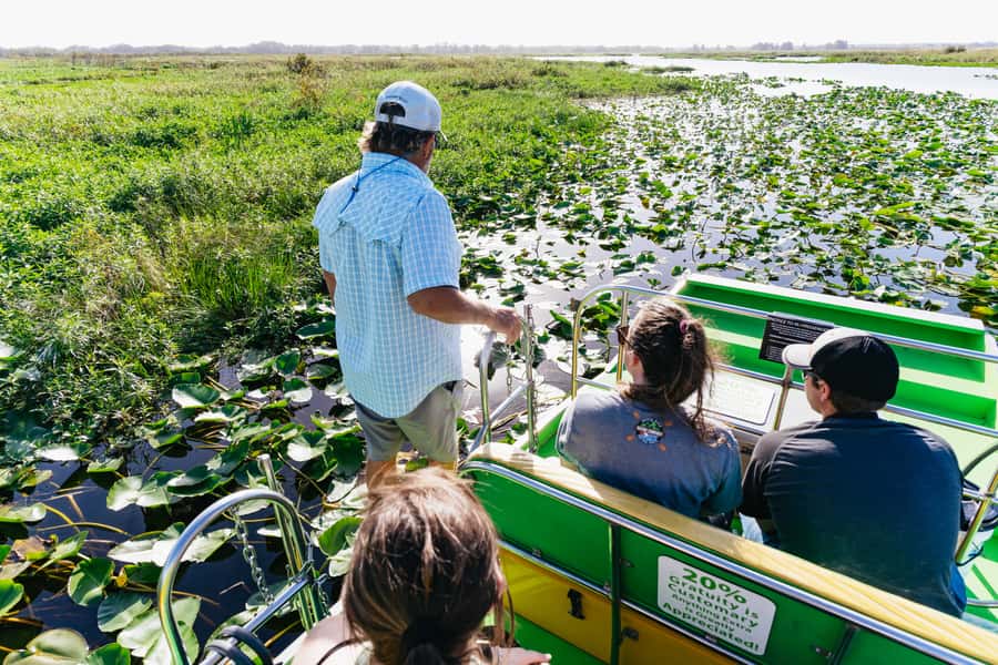 Orlando: Florida Everglades Wildlife Airboat Tour - Looking for alligators, birds, and smaller surprises