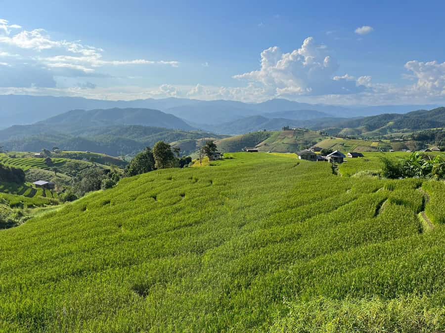 Pa Pong Piang Rice Terraces & Doi Inthanon National Park - Who should book this day?
