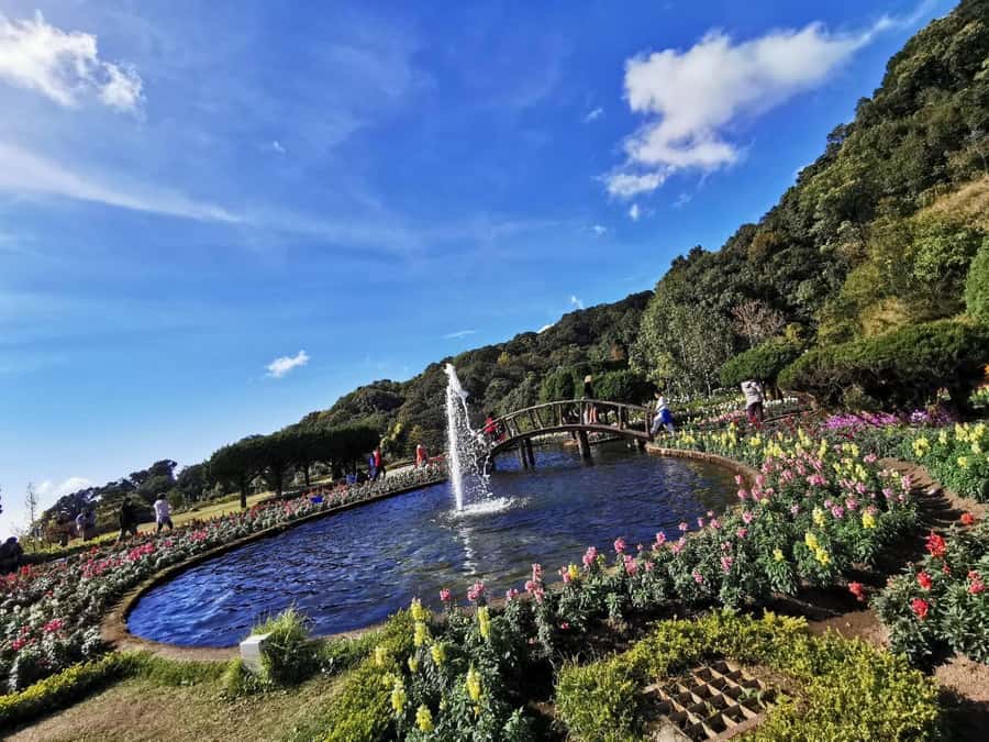 Pa Pong Piang Rice Terraces & Doi Inthanon National Park - Why Pa Pong Piang deserves the long drive