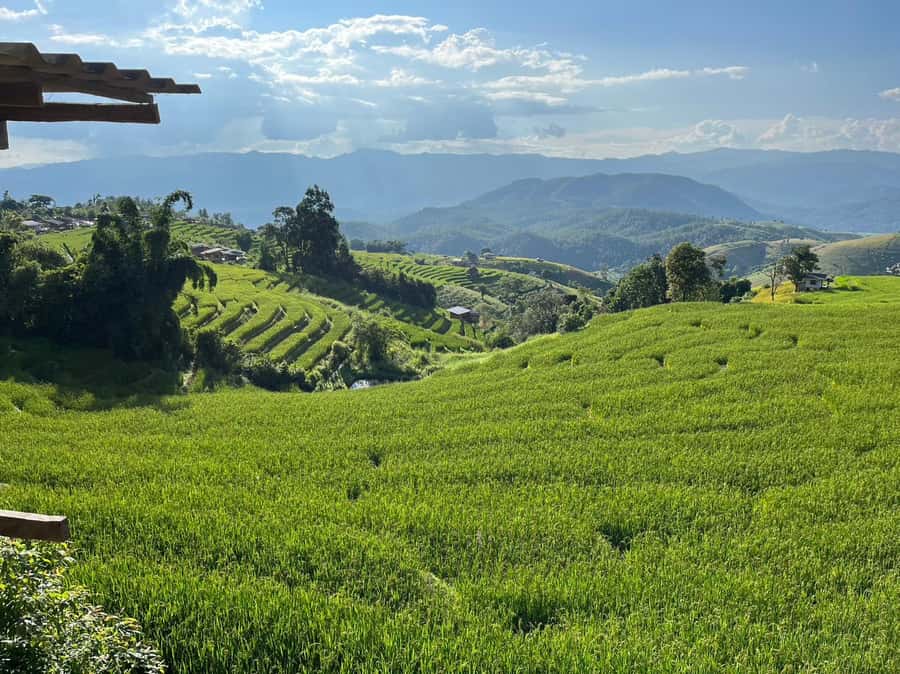 Pa Pong Piang Rice Terraces & Doi Inthanon National Park - Is $147 a fair price?