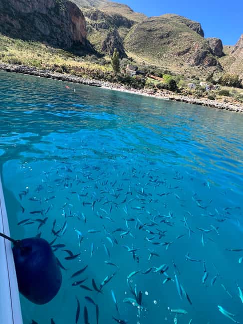 Palermo: Mondello Boat Tour and Nature Reserve with Snacks and Drinks - Grotta Regina and the Cave Swim