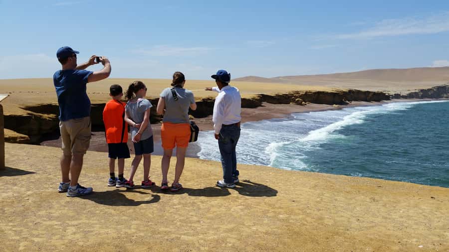Paracas: Ballestas Island & Nature Reserve all inclusive - A private drive through Paracas National Reserve