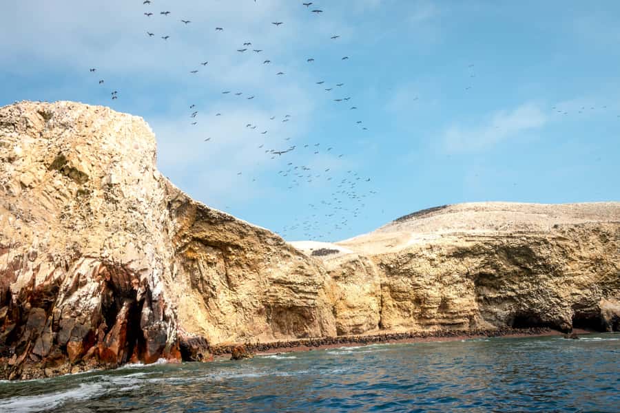 Paracas: Ballestas Island & Nature Reserve all inclusive - Cathedral viewpoint and Istmo