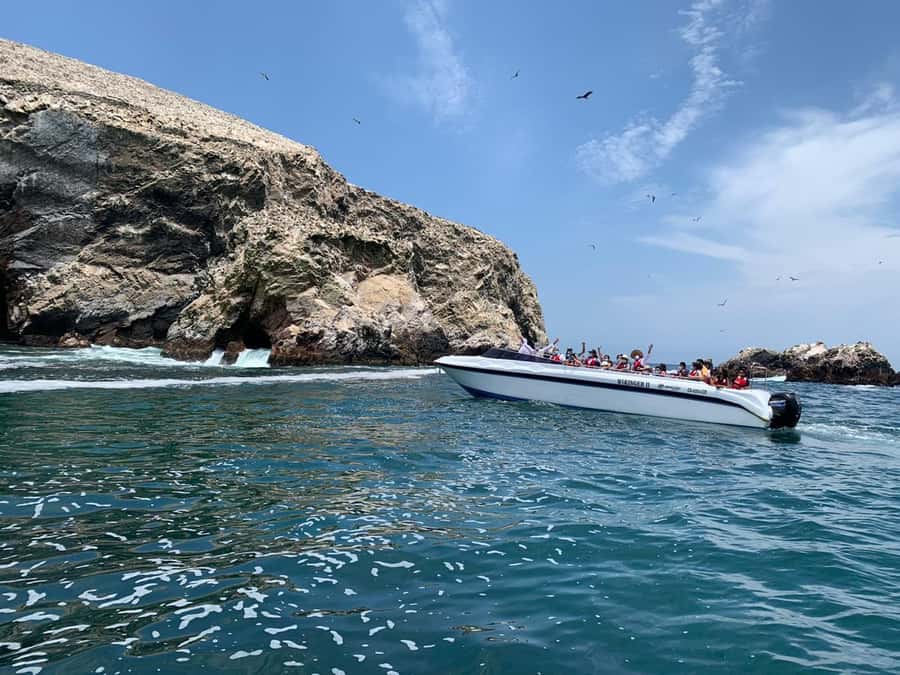 Paracas: Ballestas Island & Nature Reserve all inclusive - Timing, comfort and what to bring
