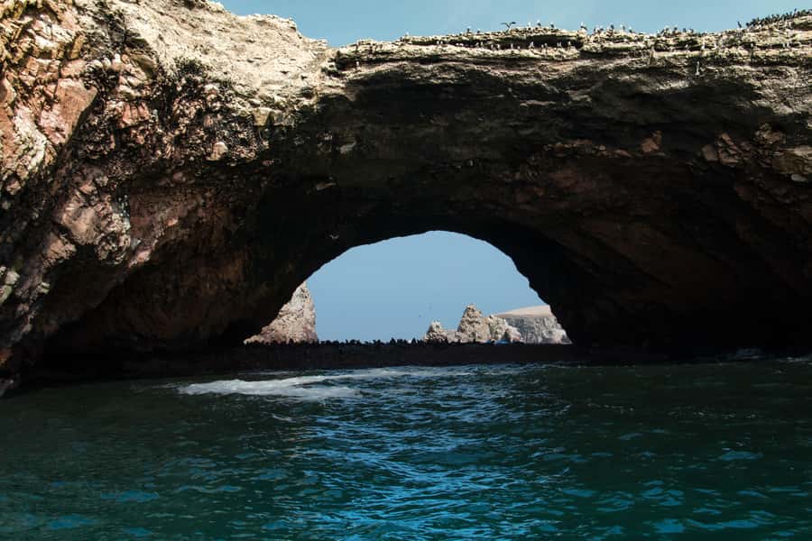 Paracas: Ballestas Island & Nature Reserve all inclusive - Who should book this tour?