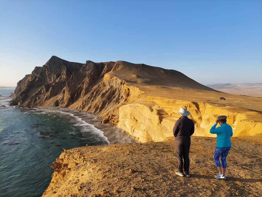 Paracas: Ballestas Island & Nature Reserve all inclusive - Ballestas Islands: birds, sea lions and penguins