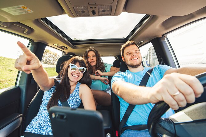 Petrified Forest National Park Self-Guided Driving Audio Tour - Start with the Painted Desert and get the app ready