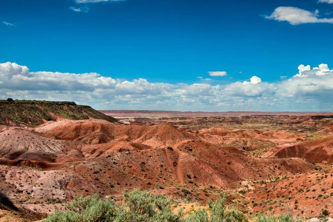 Petrified Forest National Park Self-Guided Driving Audio Tour - Blue Mesa is the tour’s essential side trip