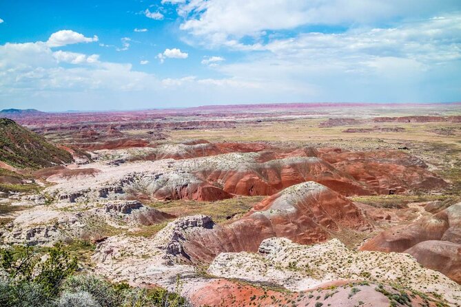 Petrified Forest National Park Self-Guided Driving Audio Tour - Historic Route 66 and the petroglyphs