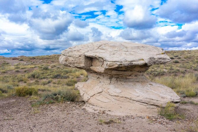 Petrified Forest National Park Self-Guided Driving Audio Tour - Jasper Forest and Crystal Forest