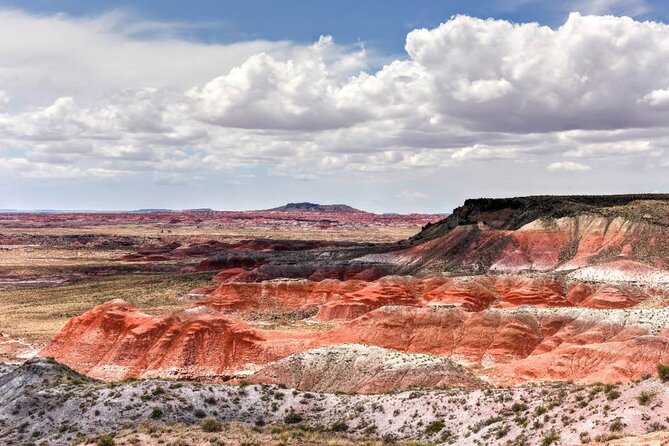 Petrified Forest National Park Self-Guided Driving Audio Tour - Rainbow Forest Museum completes the southern section