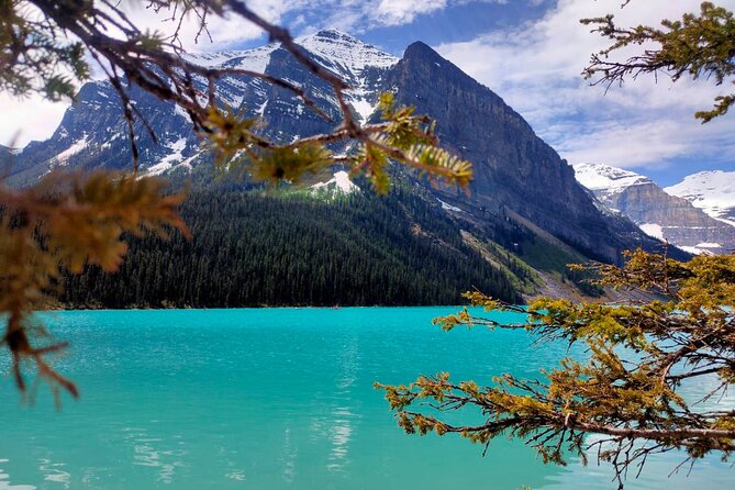 Peyto Lake, Bow Lake Lake Louise Moraine Lake Half Day Tour - The drive adds scenery between the stops