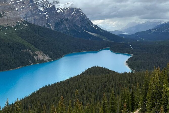 Peyto Lake, Bow Lake Lake Louise Moraine Lake Half Day Tour - Guides who keep the day moving