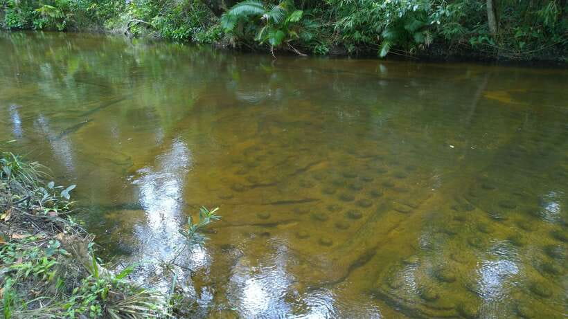 Phnom Kulen National Park Admission Ticket - The road timing can make or break the day