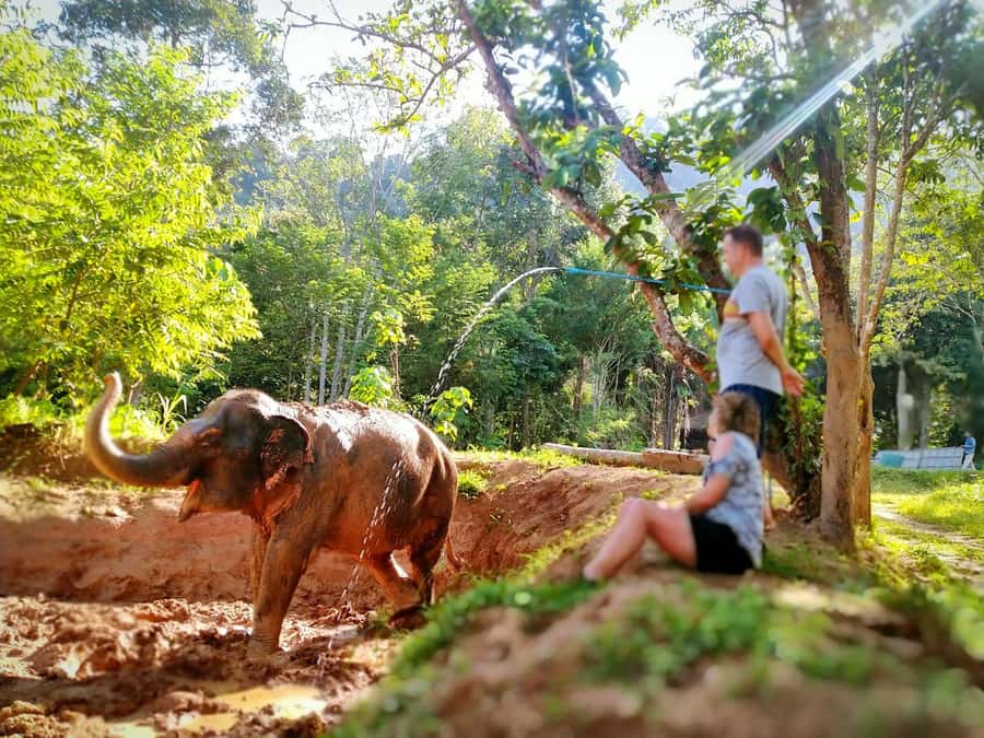 Phuket: Elephant Nature Reserve Entry Ticket and Guided Tour - Meeting your guide beside Hug Me Cafe