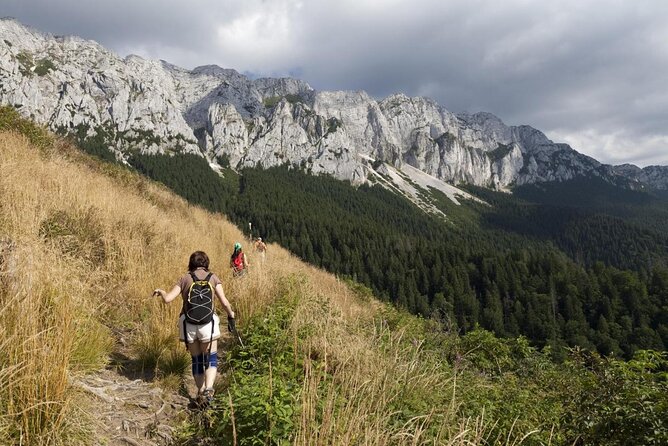 Piatra Craiului National Park Private Hiking Tour from Brasov - Key points to know