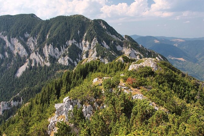 Piatra Craiului National Park Private Hiking Tour from Brasov - Forests, gorges, and pastures with working shepherds